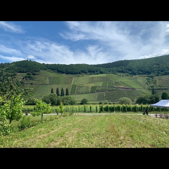 Meet your Posher, Scott - Picture 1 of 1